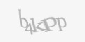Защитный код